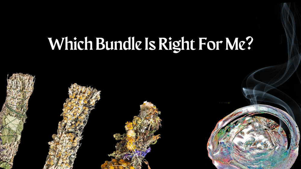 Which Bundle is Right For Me?