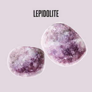 
                  
                    Load image into Gallery viewer, Lepidolite Tumbled Stone | Calm and Heal
                  
                