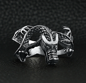 
                  
                    Load image into Gallery viewer, Mystic Dragon Ring Size 13
                  
                