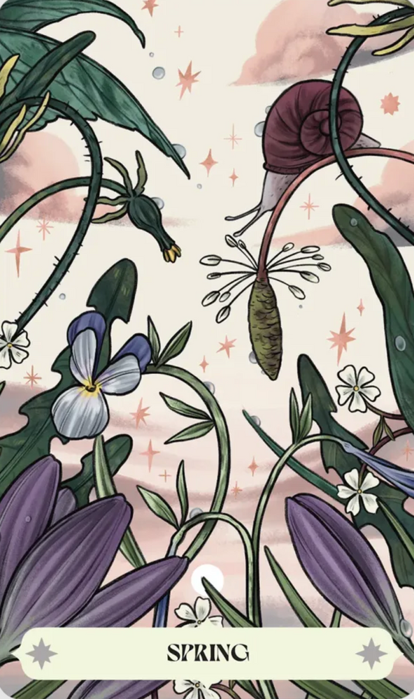 
                  
                    Load image into Gallery viewer, Herbana Witch Oracle by Author Cecilia Lattari  and Artist Alice Guidi
                  
                