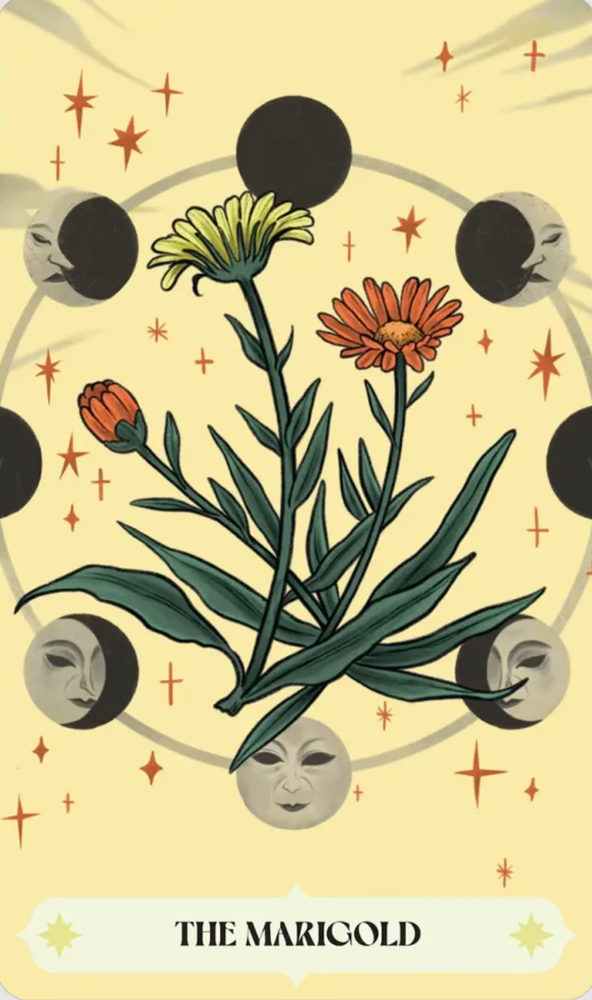 
                  
                    Load image into Gallery viewer, Herbana Witch Oracle by Author Cecilia Lattari  and Artist Alice Guidi
                  
                