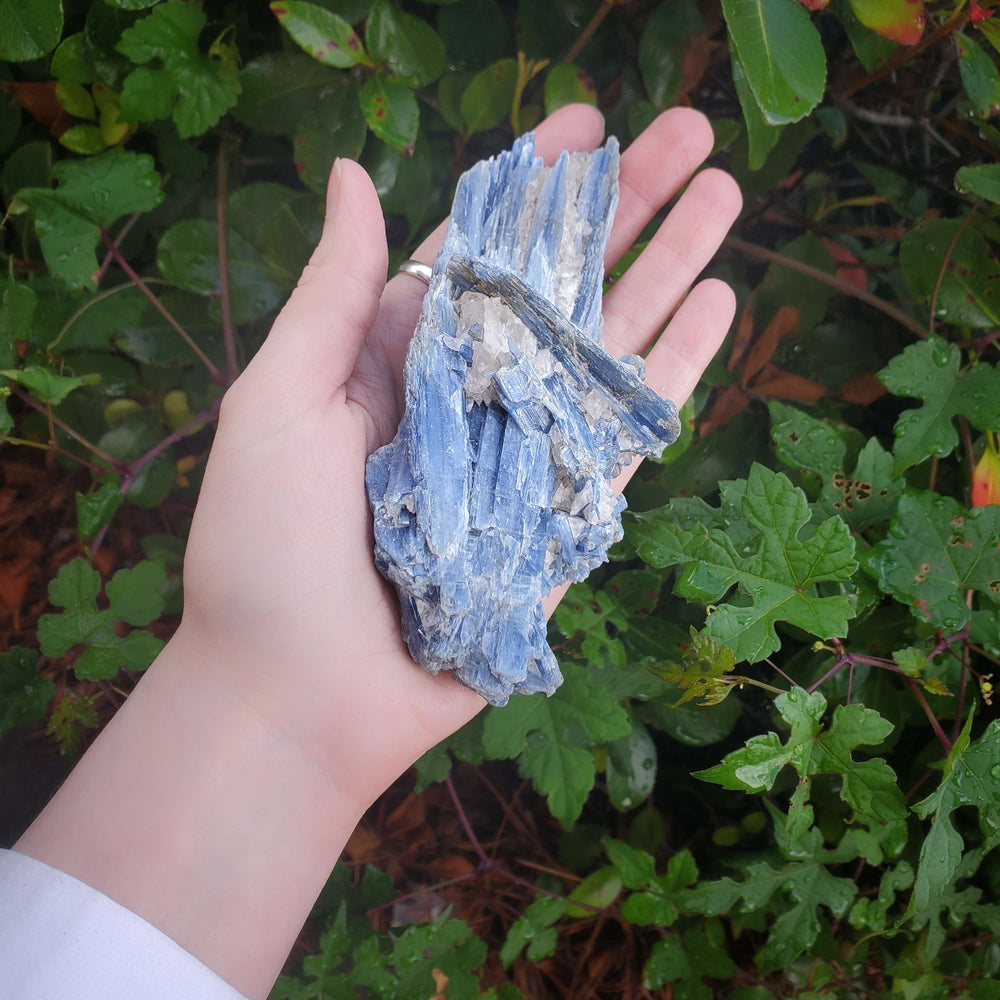 Blue Kyanite | Self Expression and Determination