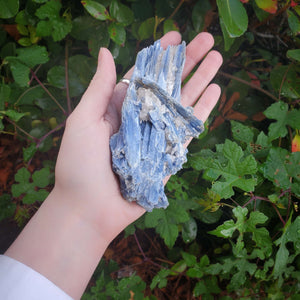 
                  
                    Load image into Gallery viewer, Blue Kyanite | Self Expression and Determination
                  
                