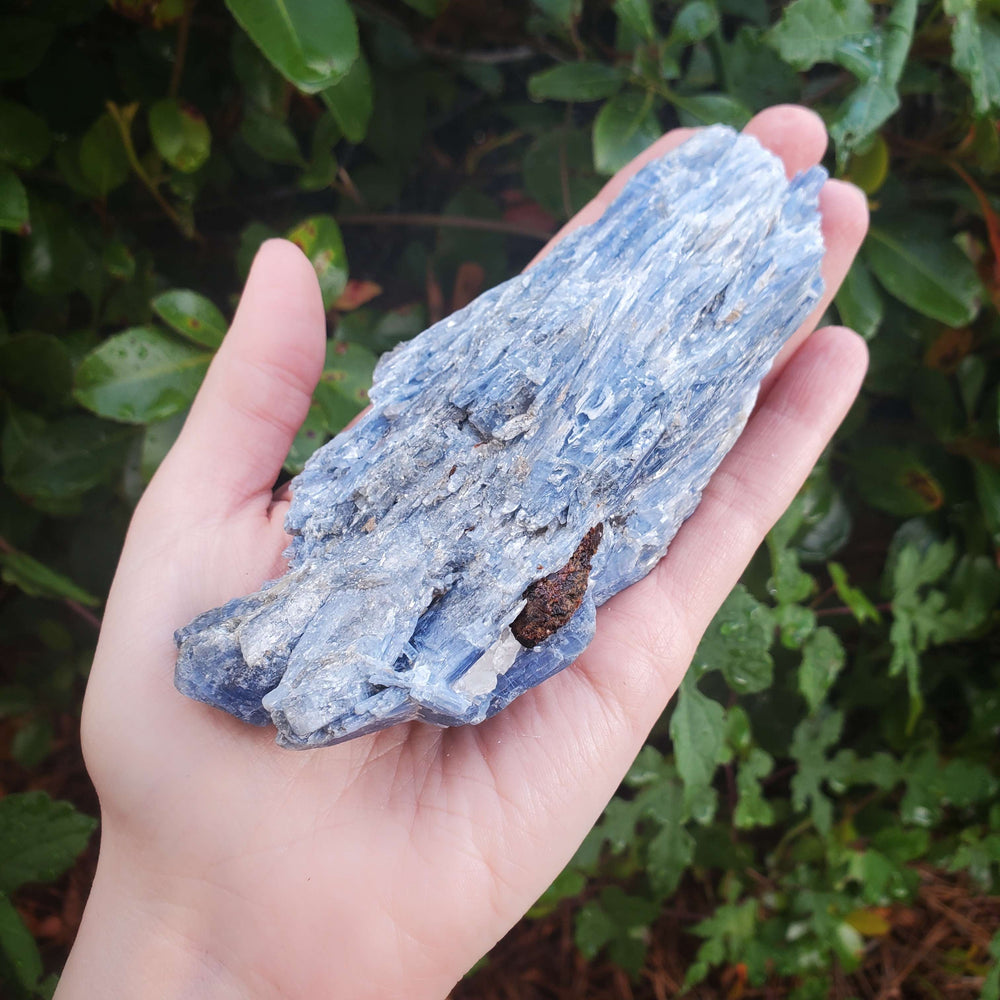 
                  
                    Load image into Gallery viewer, Blue Kyanite | Self Expression and Determination
                  
                