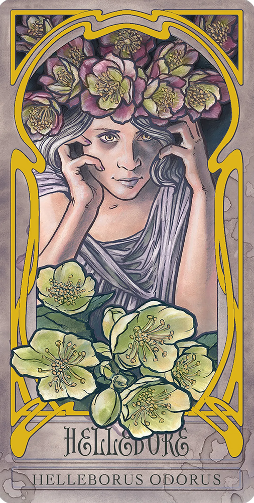 
                  
                    Load image into Gallery viewer, Lady Stirling&amp;#39;s Wicked Garden Oracle Deck | by Author Hope Hughes and Norris Eppes | Artist - Matt Hughes
                  
                