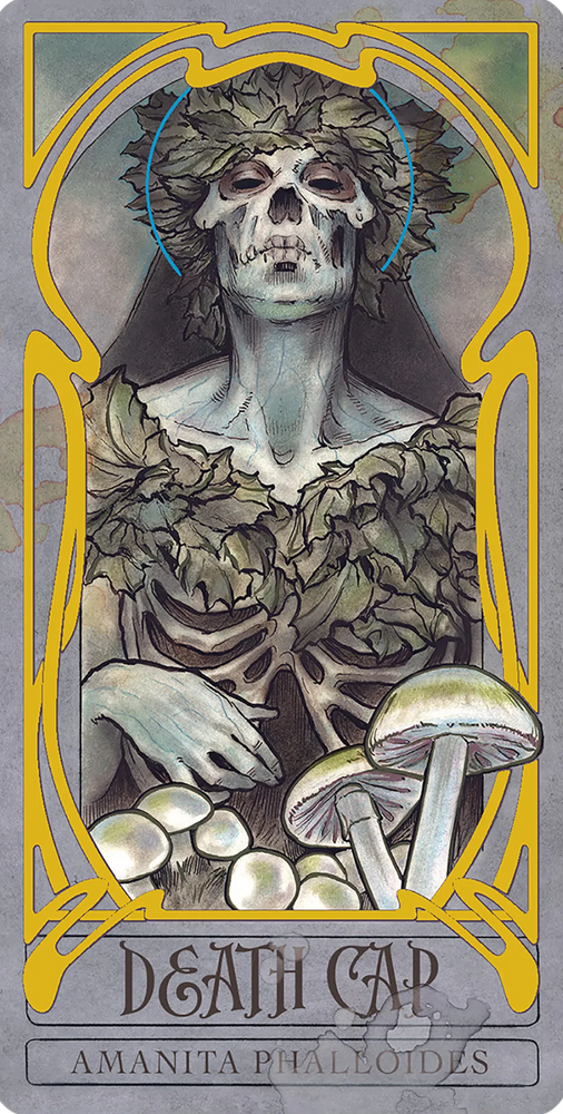 
                  
                    Load image into Gallery viewer, Lady Stirling&amp;#39;s Wicked Garden Oracle Deck | by Author Hope Hughes and Norris Eppes | Artist - Matt Hughes
                  
                