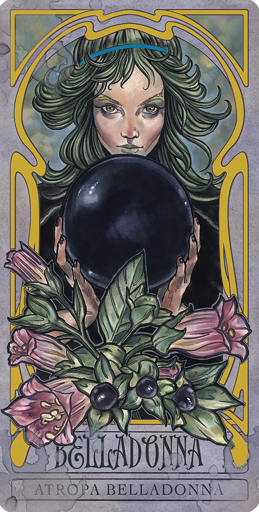 
                  
                    Load image into Gallery viewer, Lady Stirling&amp;#39;s Wicked Garden Oracle Deck | by Author Hope Hughes and Norris Eppes | Artist - Matt Hughes
                  
                