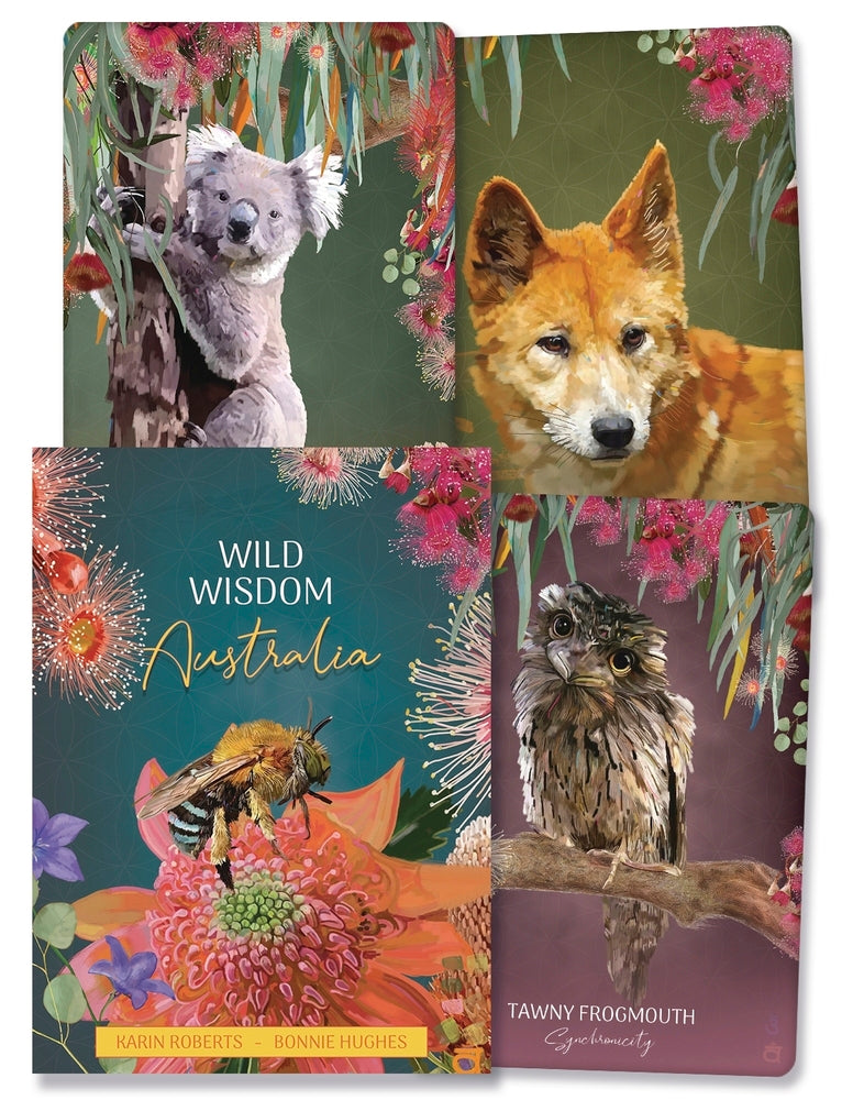 Wild Wisdom Australia