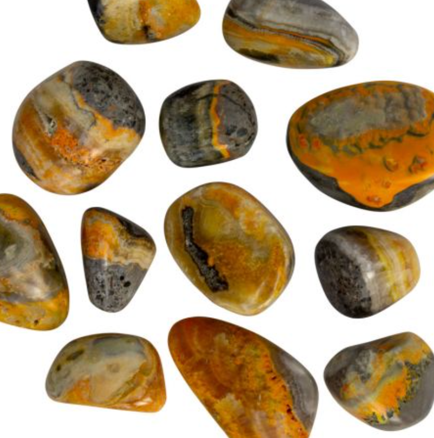 Bumble Bee Jasper Tumbled Stone | Logic and Dark Magick