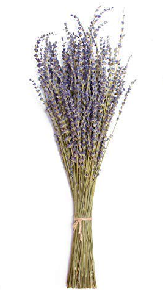 Lavender Bundle Organic