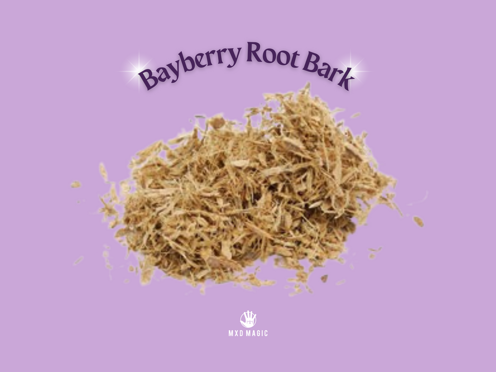 Wildcrafted BayBerry Root Bark 1 oz