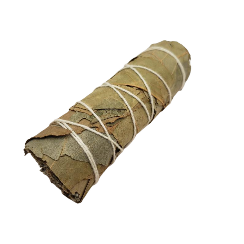 Bay Leaf Bundle 4
