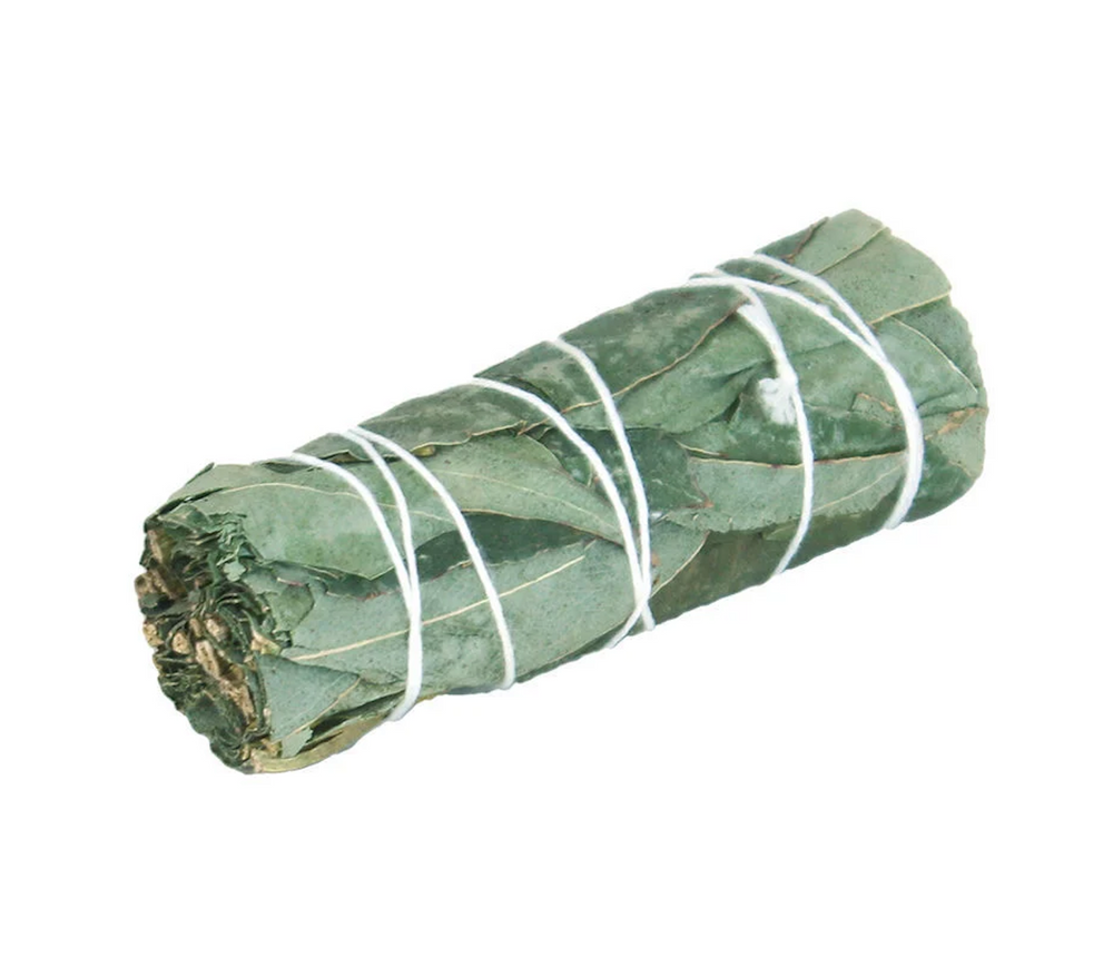 Eucalyptus and Yerba Santa Bundle