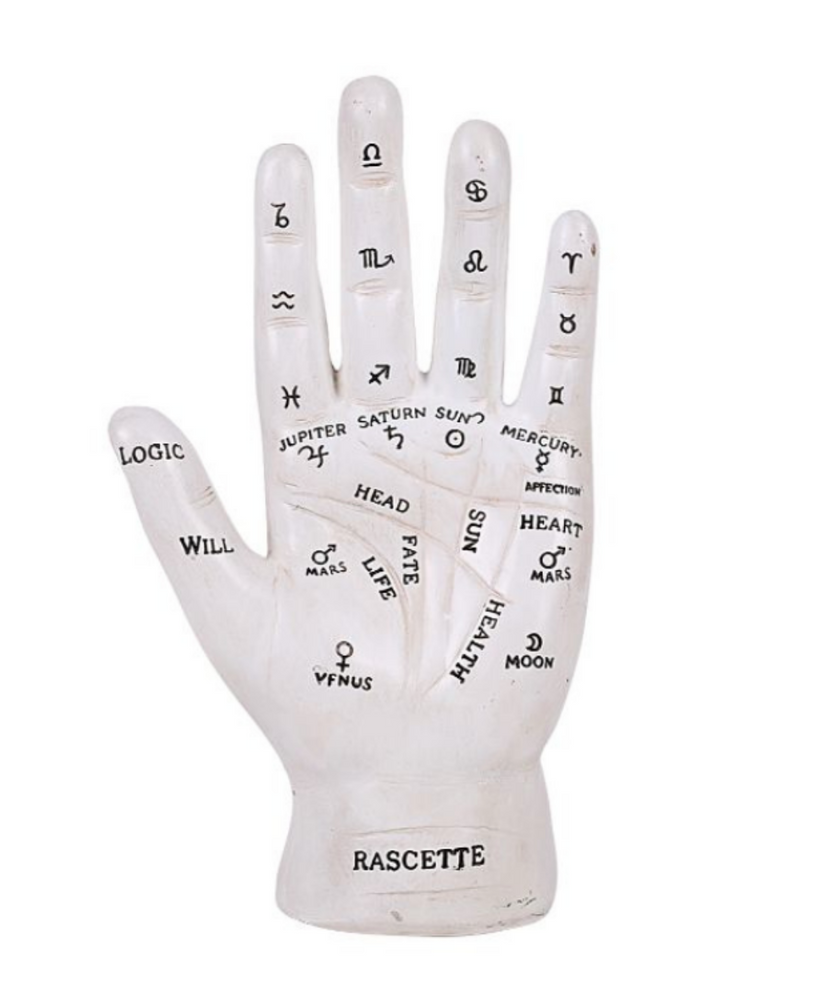 Palm Reader Hand Reference