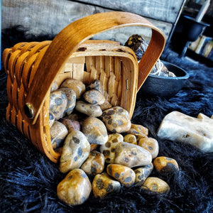 
                  
                    Load image into Gallery viewer, Leopard Jasper Tumbled Stone | Strength and Endurance
                  
                