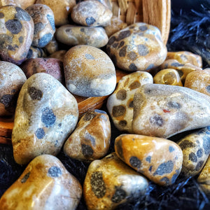 
                  
                    Load image into Gallery viewer, Leopard Jasper Tumbled Stone | Strength and Endurance
                  
                