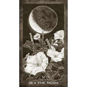 
                  
                    Load image into Gallery viewer, New Era Elements Tarot Deck
                  
                