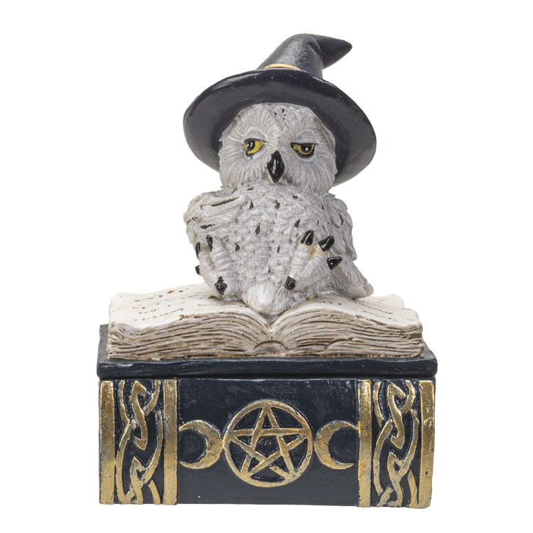 Owl Familiar Box - Blue