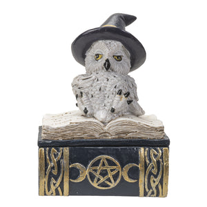 
                  
                    Load image into Gallery viewer, Owl Familiar Box - Blue
                  
                