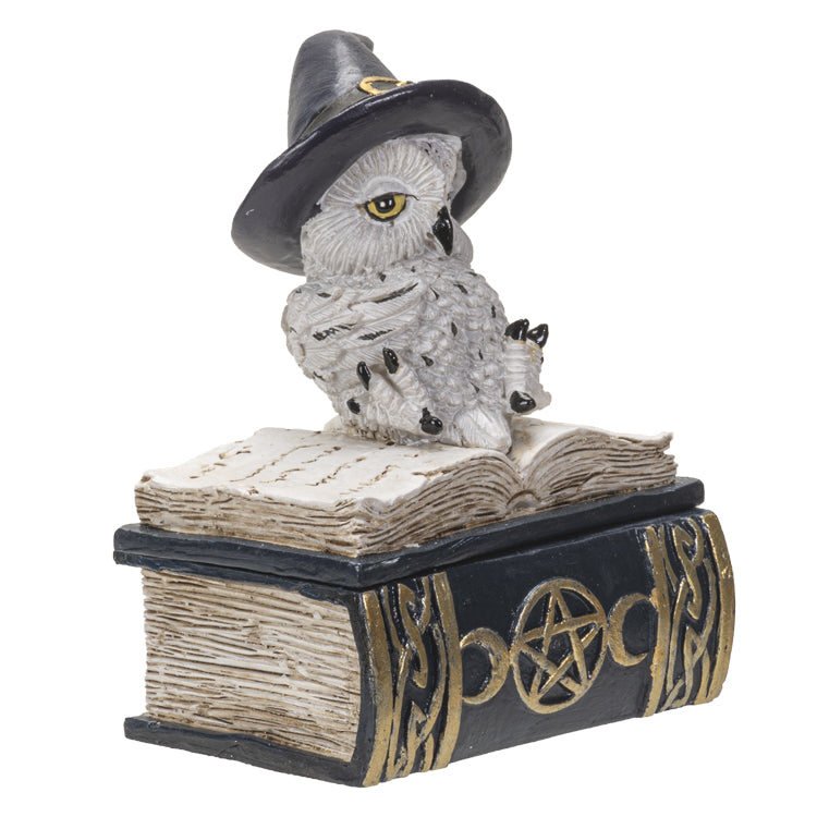 
                  
                    Load image into Gallery viewer, Owl Familiar Box - Blue
                  
                