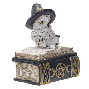 
                  
                    Load image into Gallery viewer, Owl Familiar Box - Blue
                  
                