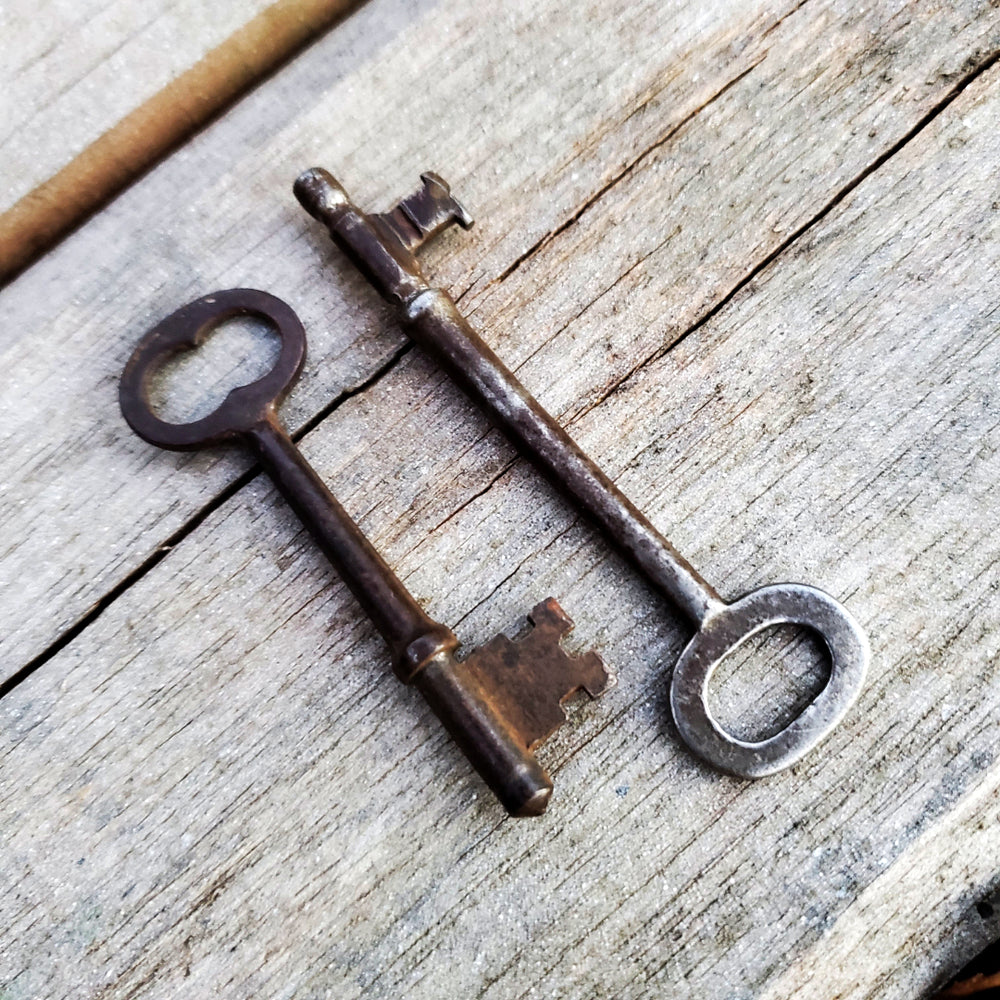 
                  
                    Load image into Gallery viewer, Skeleton Key
                  
                