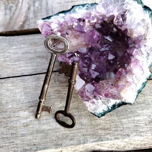 
                  
                    Load image into Gallery viewer, Skeleton Key
                  
                