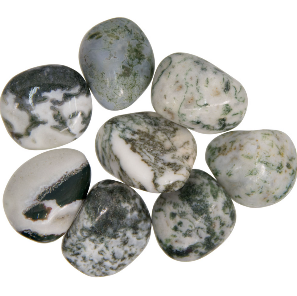 Tree Agate Tumbled Stone | Abundance and Balance